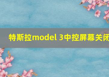 特斯拉model 3中控屏幕关闭